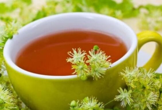 النباتات المدلفنة